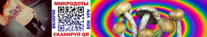 наркошоп  Учалы  Псилоцибиновые грибы Cubensis 